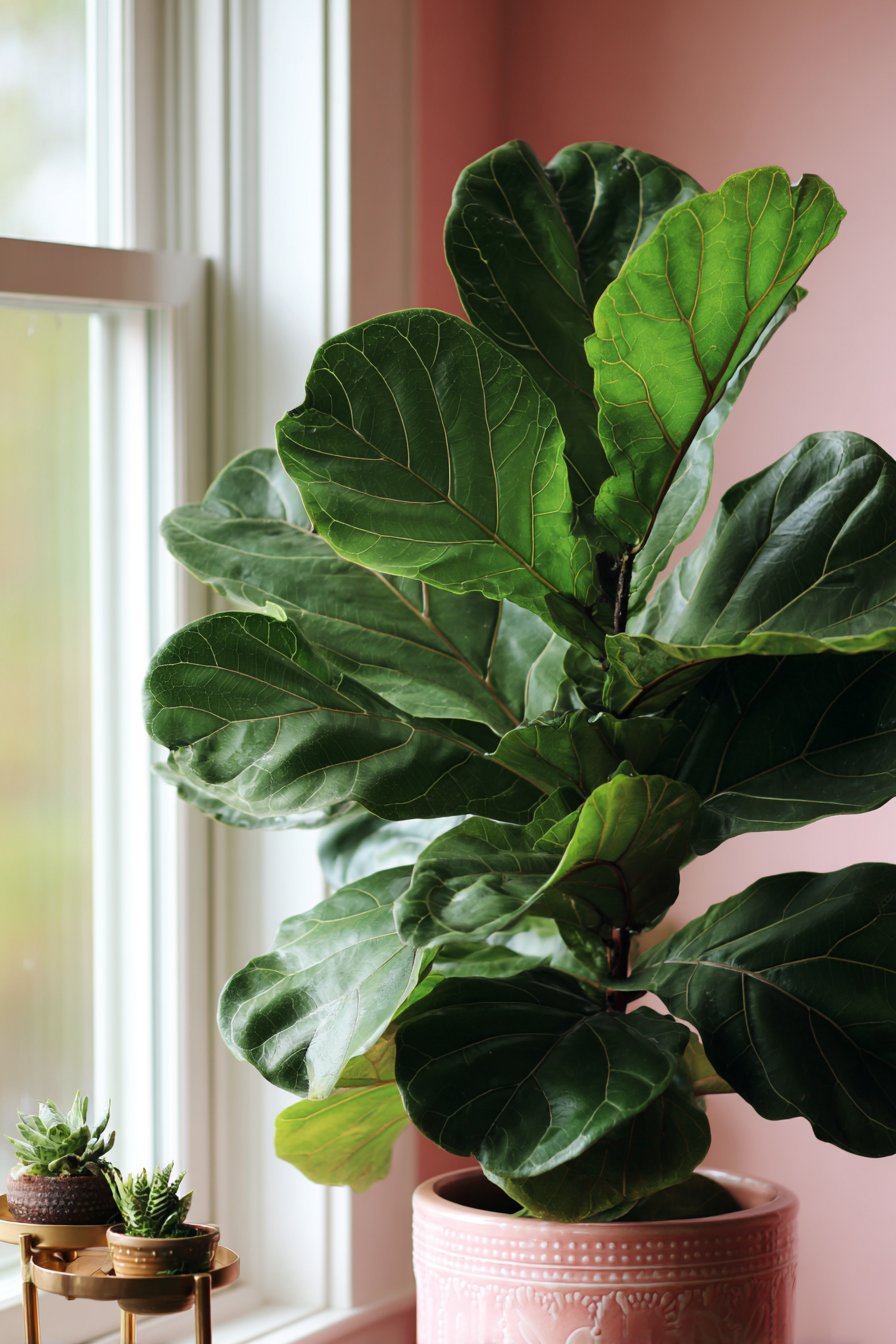 Layered Vintage Rug Arrangement