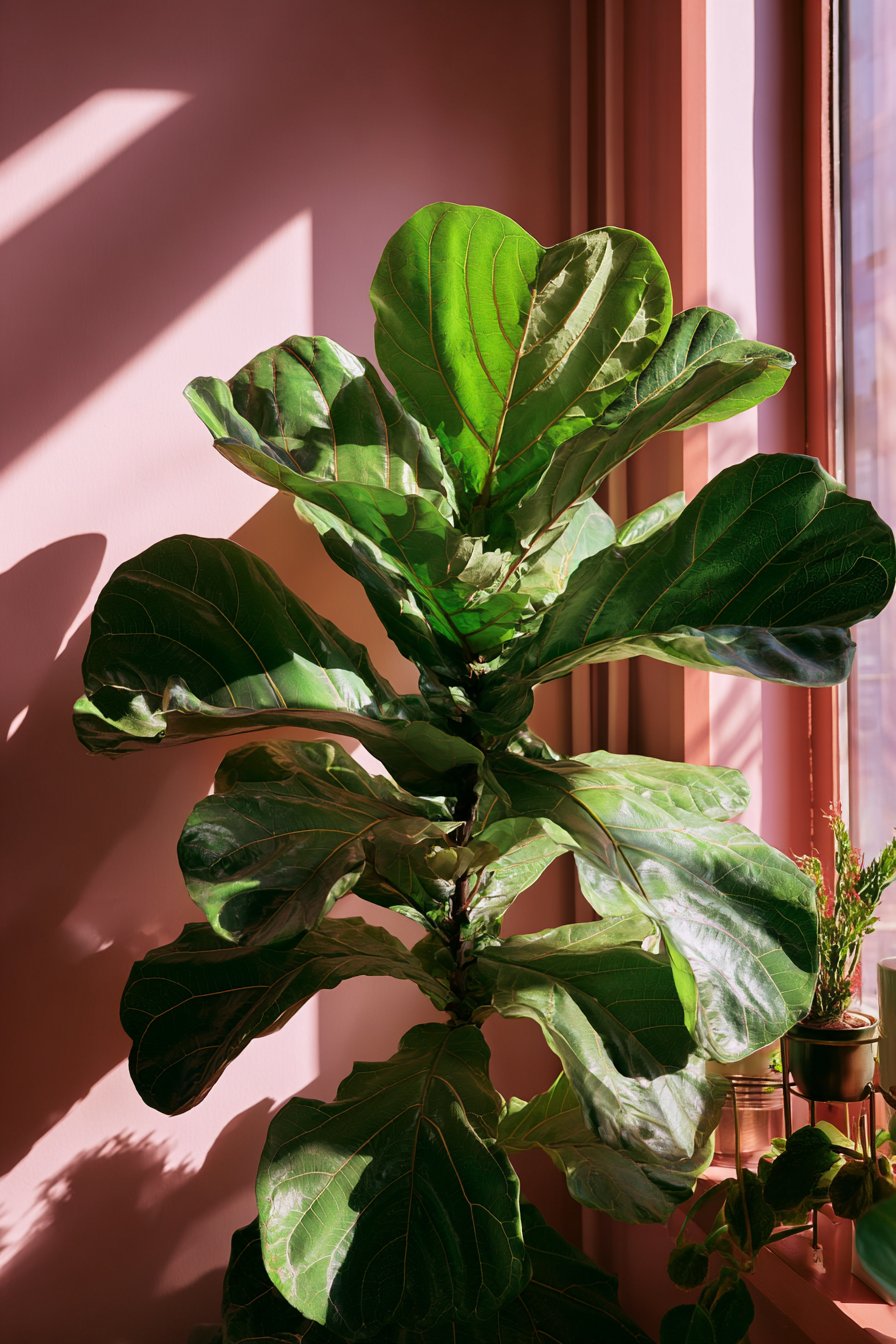 Layered Vintage Rug Arrangement