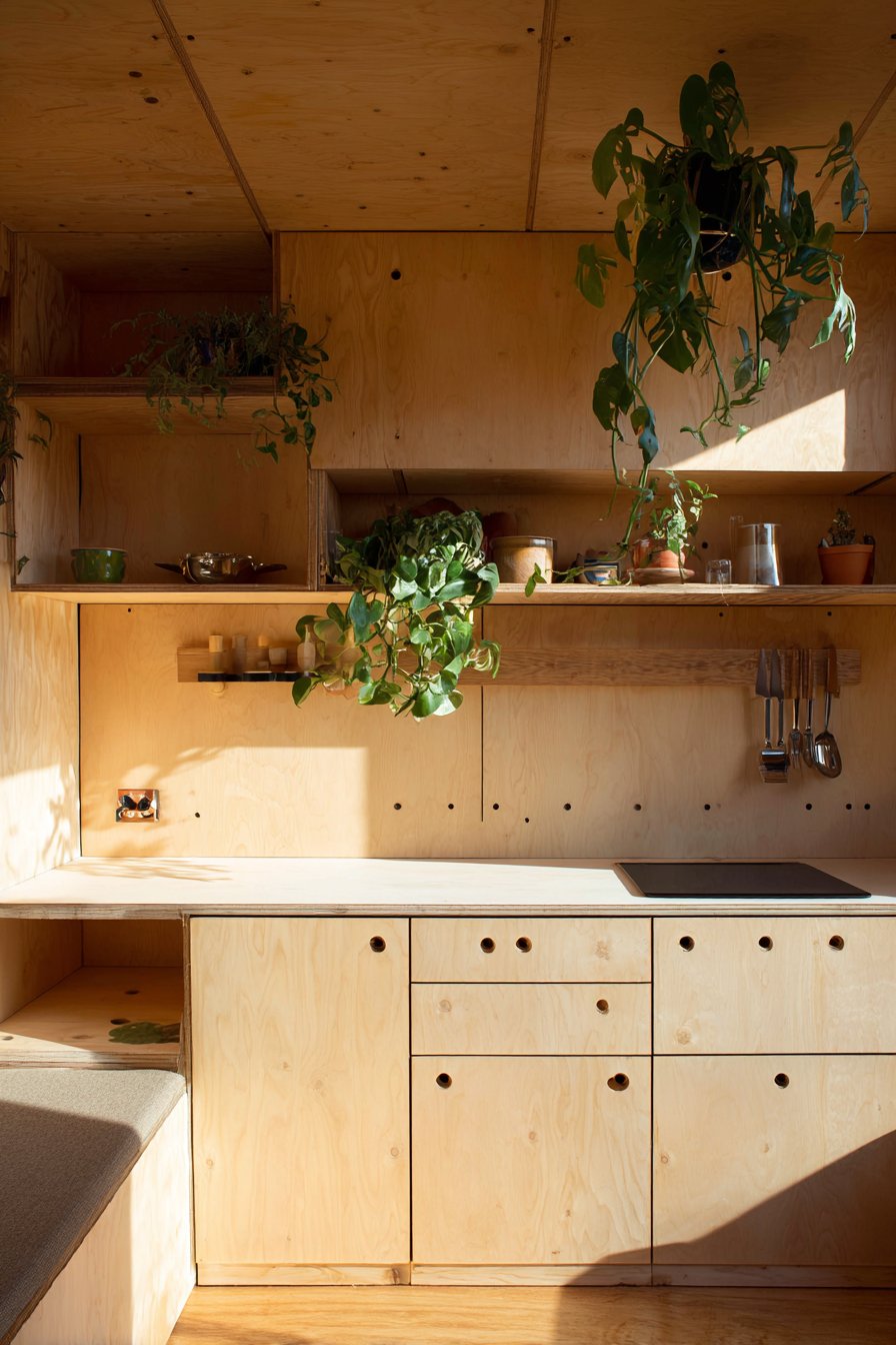 Deep Teal Jewel-Toned Focus