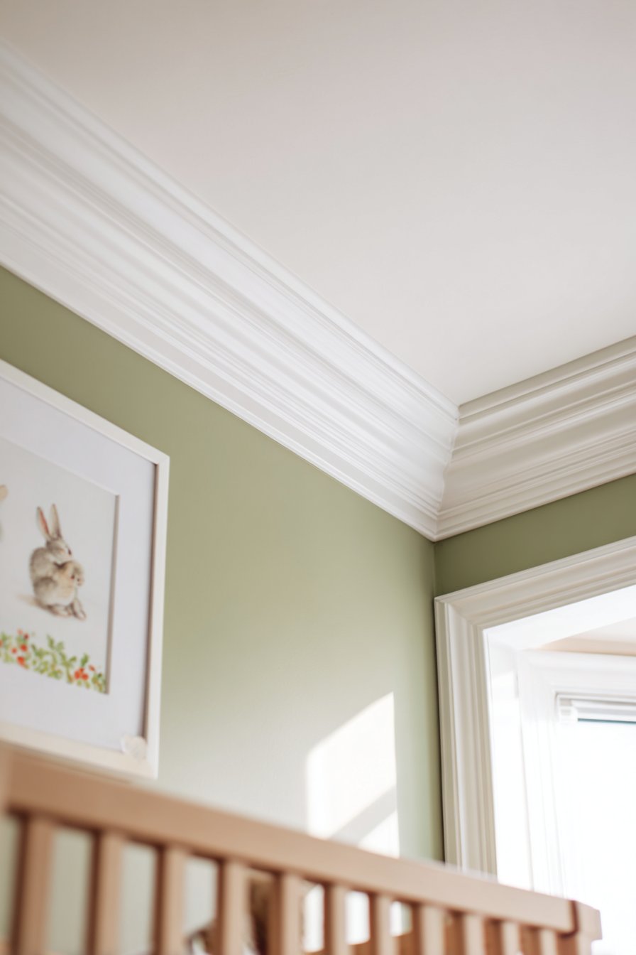 Architectural Crown Molding with Stenciled Border
