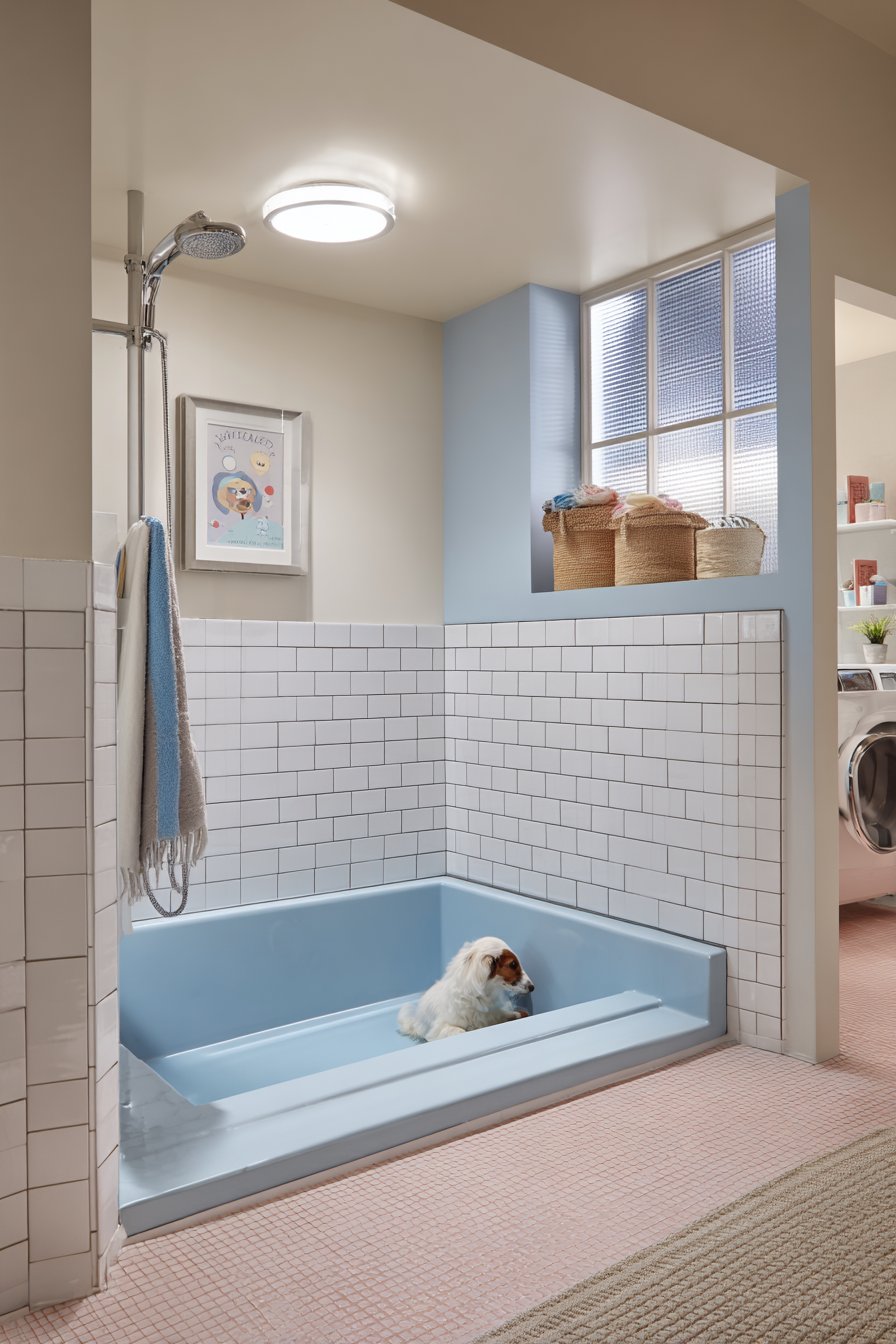 Pet-Friendly Dual-Purpose Space