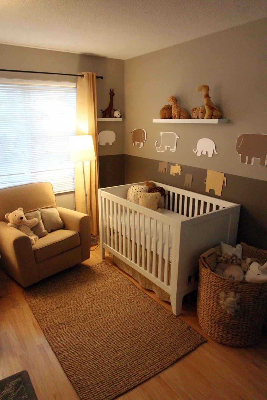 Safari Adventure Spirit