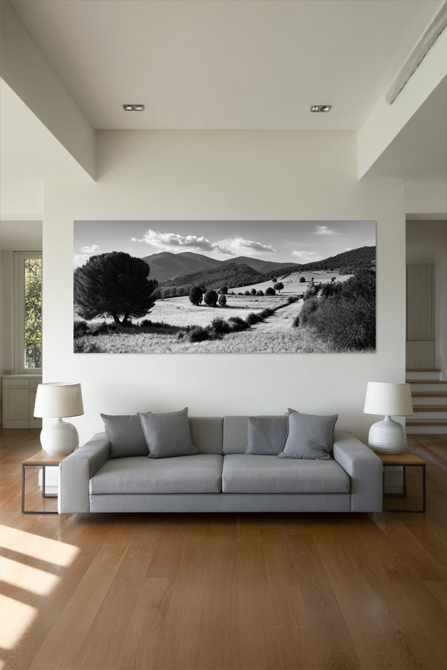 Minimalist Oversized Black and White Photography