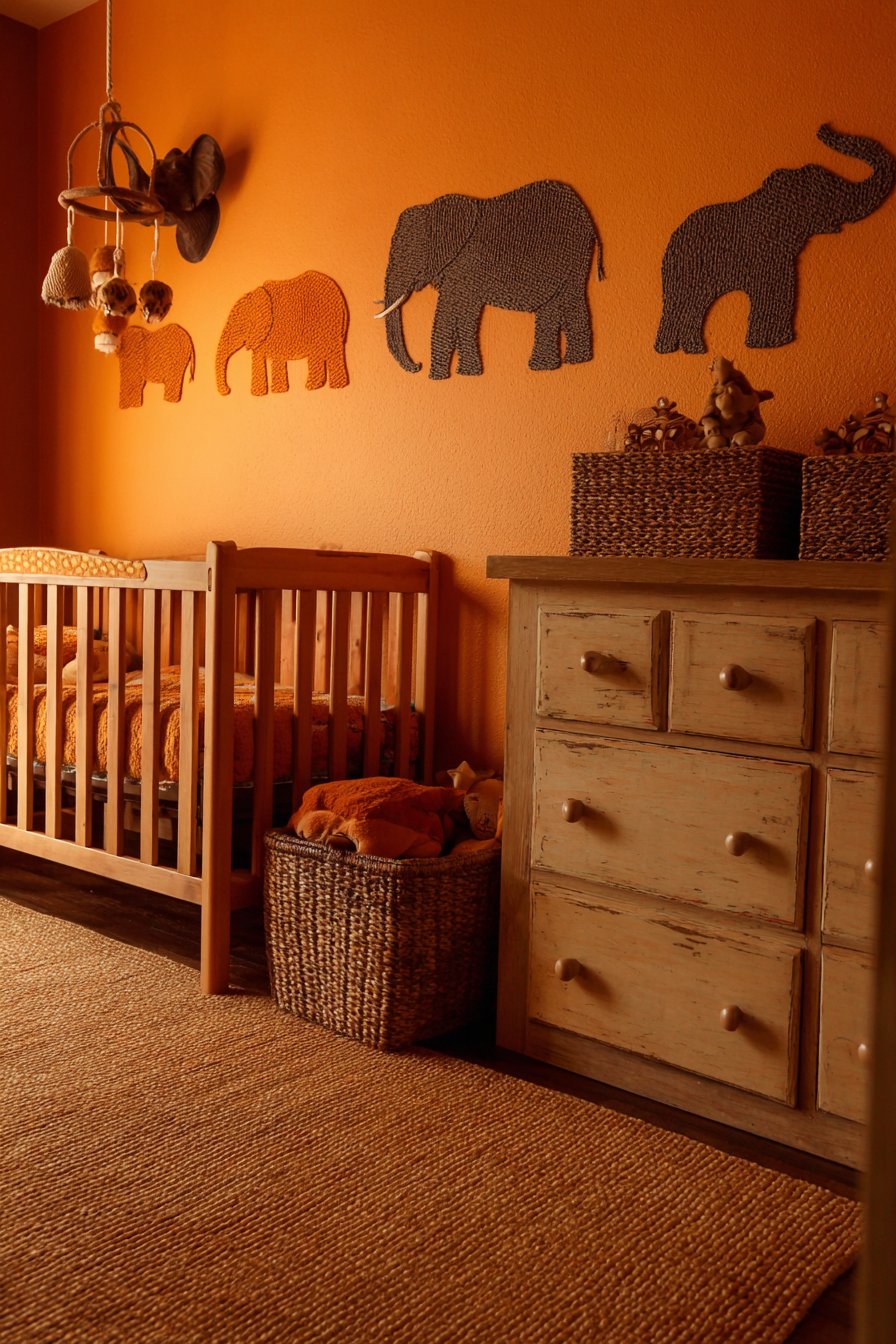 Safari Adventure Theme